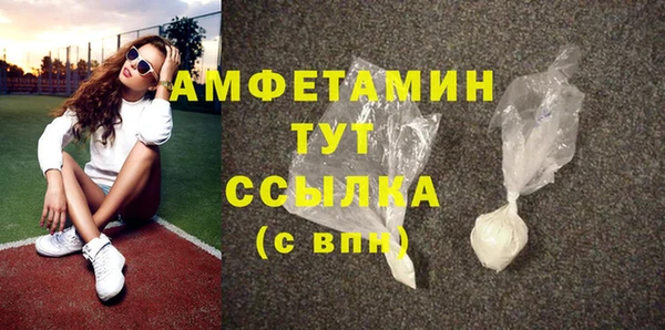 шишки Арсеньев