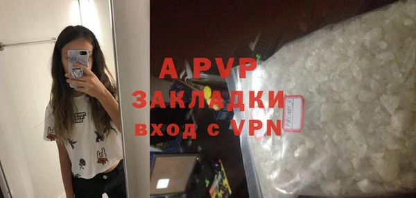 шишки Арсеньев