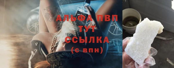шишки Арсеньев