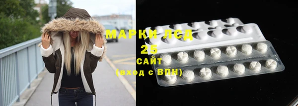 шишки Арсеньев