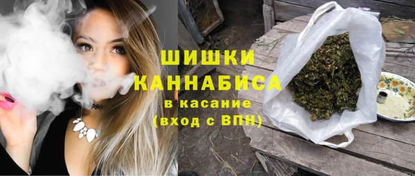 шишки Арсеньев