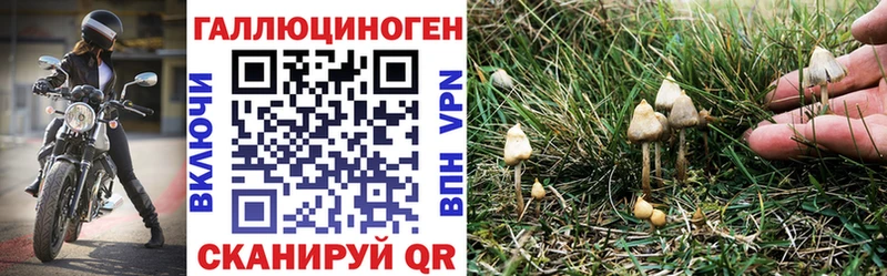 Галлюциногенные грибы GOLDEN TEACHER  darknet формула  Свирск  hydra вход 